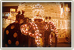 perahera sri lanka