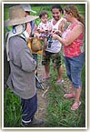 Farming near Chiang Rai