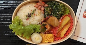 home made bento box