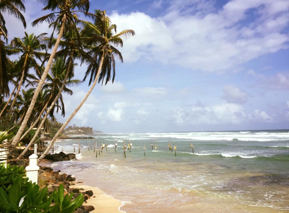 Stilt Fishermen in Sri Lanka