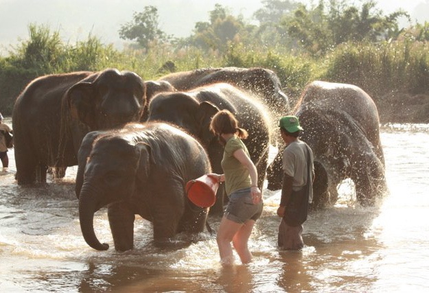 elephant bathing