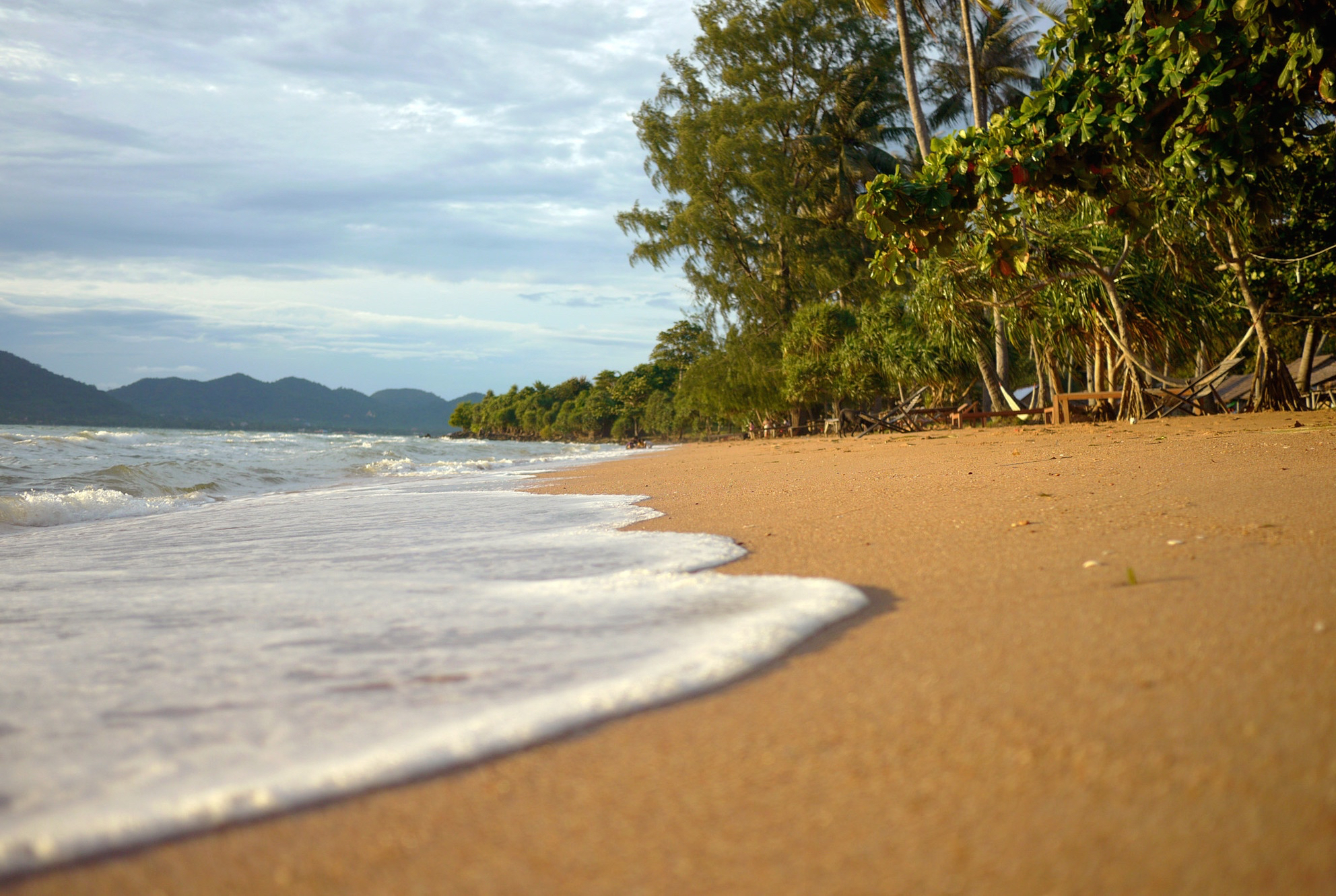 kep-jungle.jpg