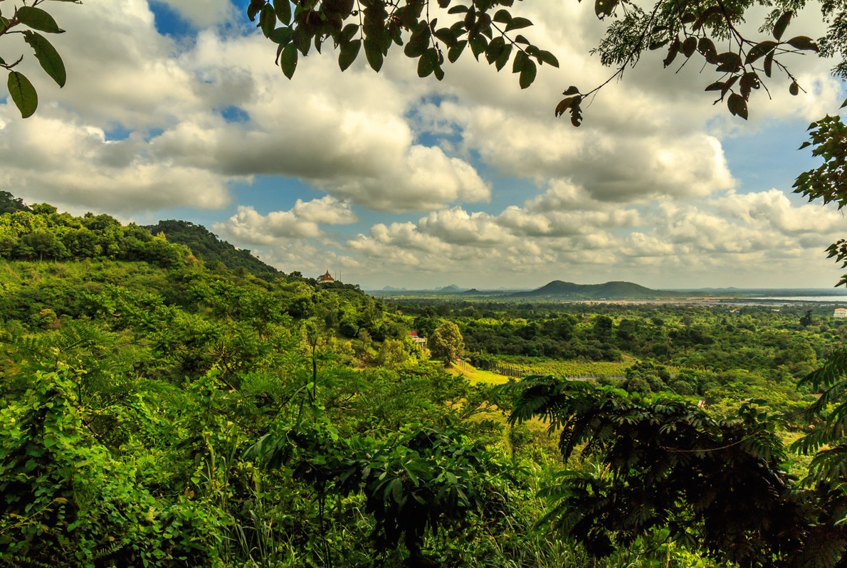 kep-jungle.jpg