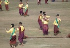 Elephants at Surin